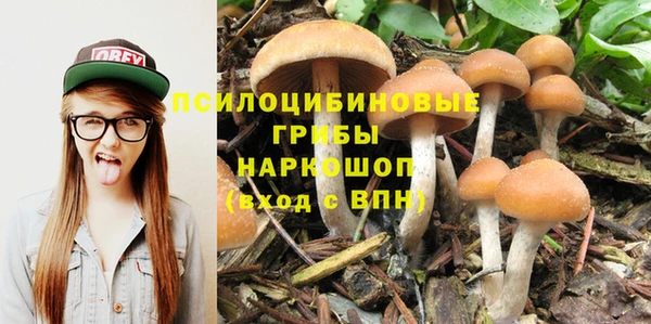 ГАЛЛЮЦИНОГЕННЫЕ ГРИБЫ Арсеньев